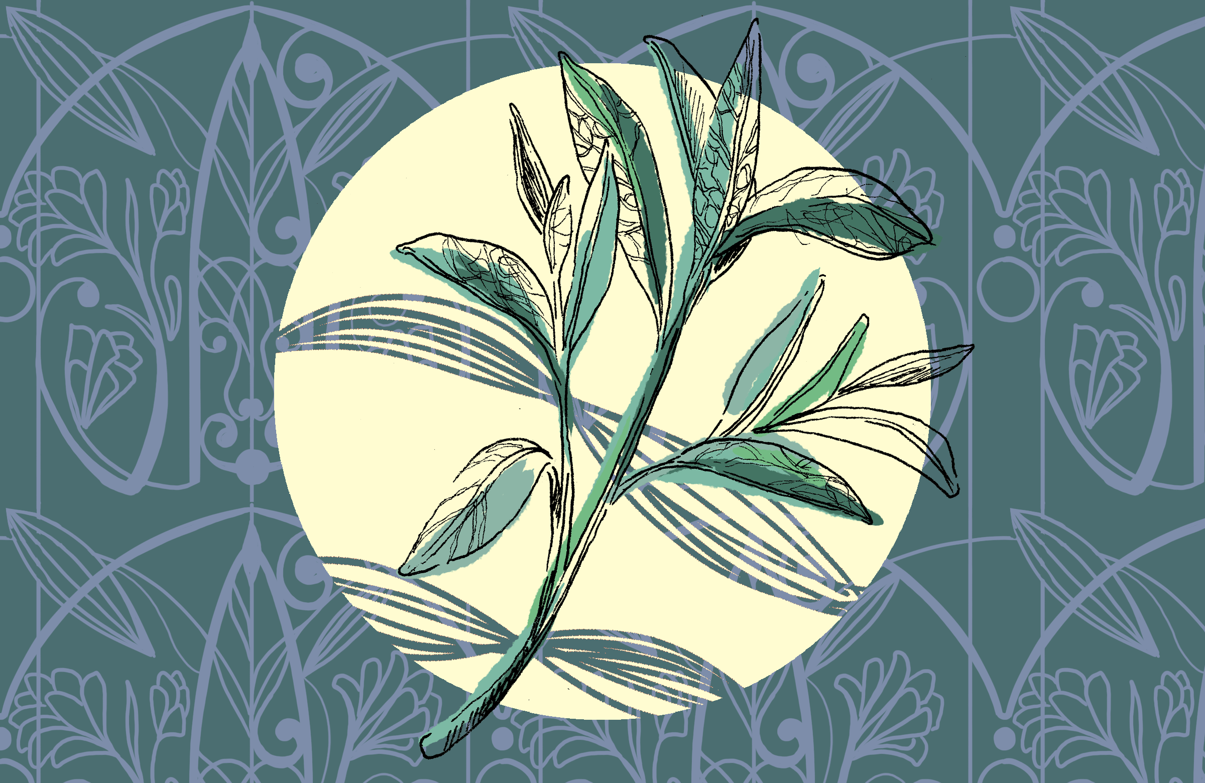 287043626_375006951363956_9189118347541132041_n