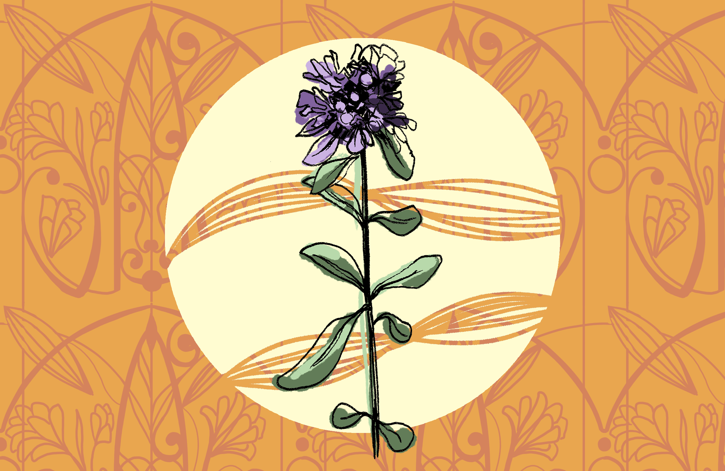 288349818_2387009114773564_4612357169526233814_n