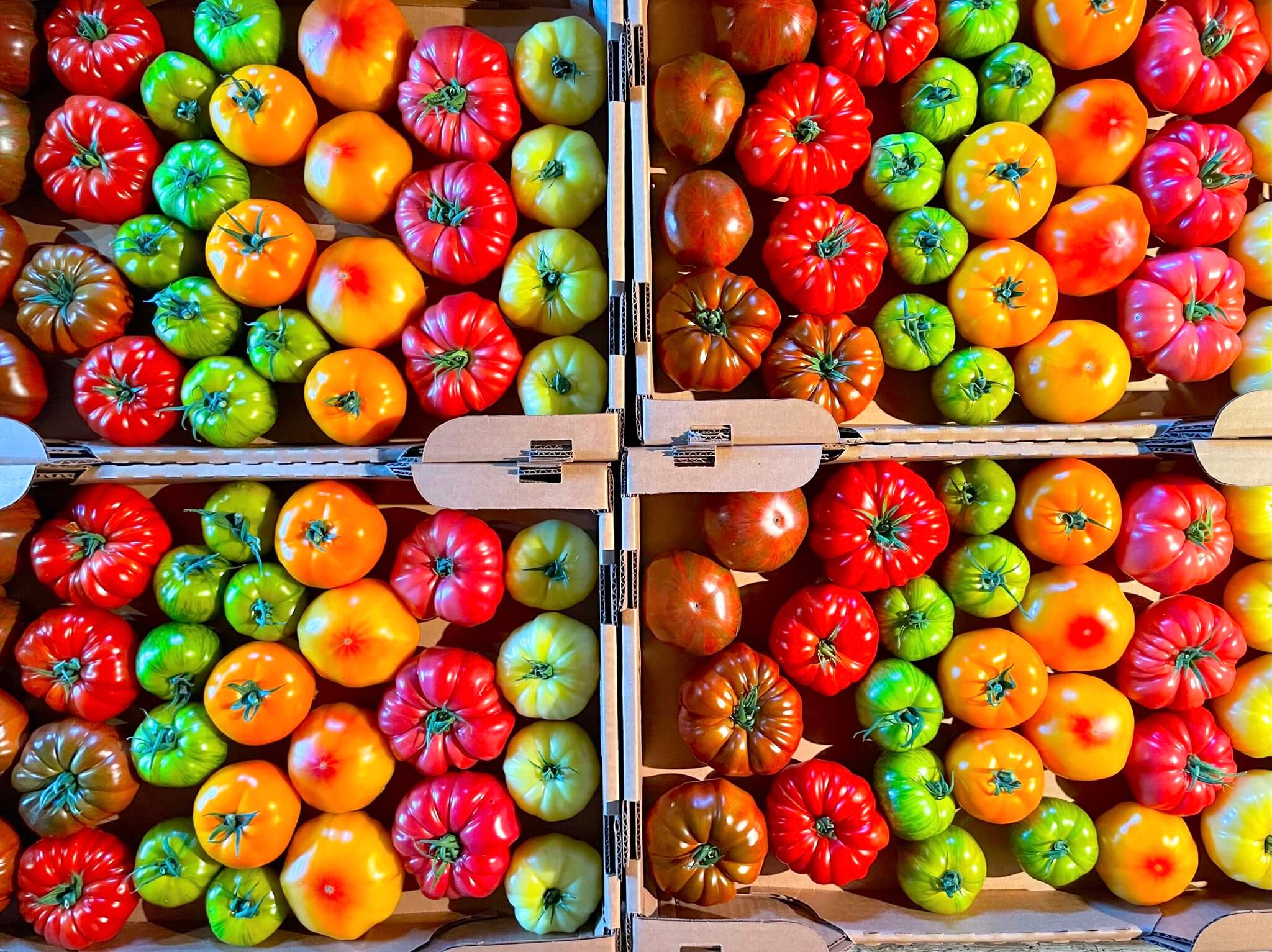 373301334_869551911420188_178521594217519188_n